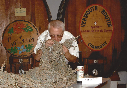 selection des brins d'absinthe selection des brins d'absinthe